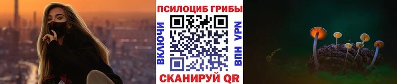 Псилоцибиновые грибы Psilocybe  Кулебаки 